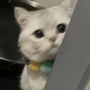 🌟 𝗕𝗔𝗕𝗬 𝗟𝗨𝗡𝗔 🧸