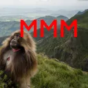 Mountains Money Makers