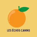 Les échos canins ! 🍊