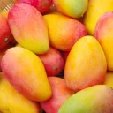 🥭 mango hub 🥭