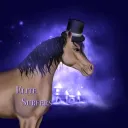 𝐄𝐥𝐢𝐭𝐞 𝐒𝐮𝐫𝐟𝐞𝐫𝐬 𝐎𝐬🐬