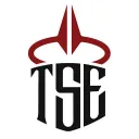 ✧₊TSE₊✧
