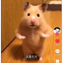 awesome.com