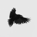 Hashira Discord server icon