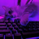 KliSub