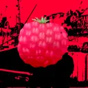 Raspberry Syrup Factory. LTD