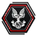 United Nations Space Command