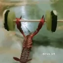 Dimly Lit Room Discord Server Icon