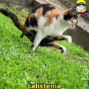 Olimpo Army