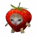 ⋆｡°✩ 𝓢trawberry 𝓦orld ✧ Discord server logo