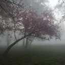 ✮⋆˙𝙎𝙚𝙧𝙚𝙣𝙞𝙩𝙮