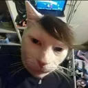 Nezziiswrld