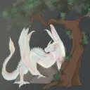Monde des Dragons