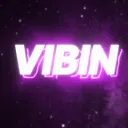 #1 VIBIN