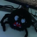 Cutespiders Live DISCORD icon