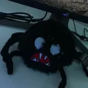 Cutespiders Live DISCORD