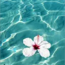 ˚⋆𓇼˚coastal chill ❀⋆.ೃ࿔*:･