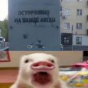ANUS