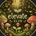 - Elevate with Nico -