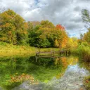 The Pond