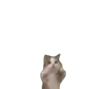 Gameplays