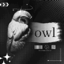 @owl