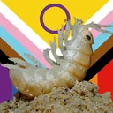 The Church of Chitin