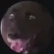 BenNehmer's server