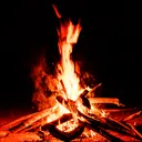 The Fireside