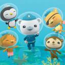    Octonauts Roleplay    Discord Server Icon