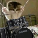 DMV Drummer??!?!? Discord Server Icon