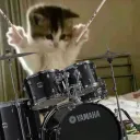 DMV Drummer??!?!? Discord Server Icon