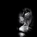 LION DEN