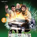 The Professionals Community
