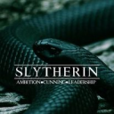 Team Slytherin Discord server icon