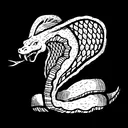 Cobra Studios