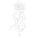 The 🌹 Garden
