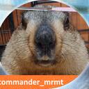mrmot mrmot Discord Server Icon