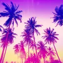 Paradise 🌴