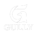 The Gully Flock