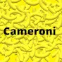 Cameroni's basement 2