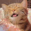 Lovable’s UGC