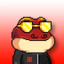 ZkFair Frogs