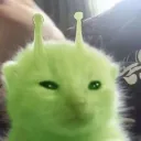 ✨💫Starlights💫✨'s icon