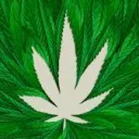 The POT spot