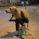 Guap’s dungeon Discord Server Icon