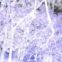 THE SPIRITUAL GARDEN