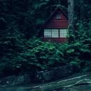 Mosslight Cabin