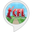 Cricket Fantasy League