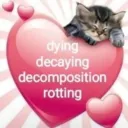 𝕸𝖔𝖗𝖇𝖎𝖉 𝕸𝖆𝖙𝖙𝖊𝖗